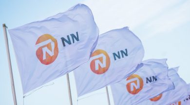 nn-flags