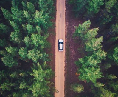 car-trees-forest