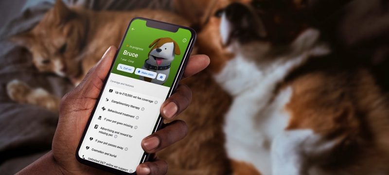 pet-insurance-revolut