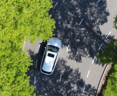 car-trees-road-anytime