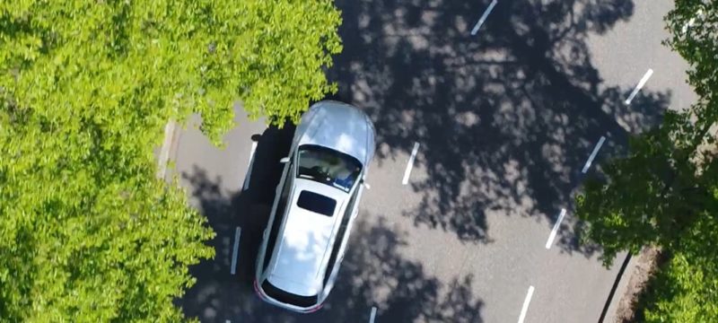 car-trees-road-anytime