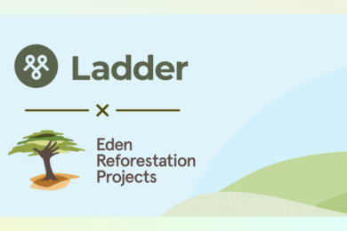 ladder-eden