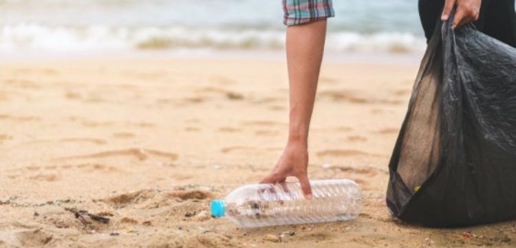 beach-cleaning