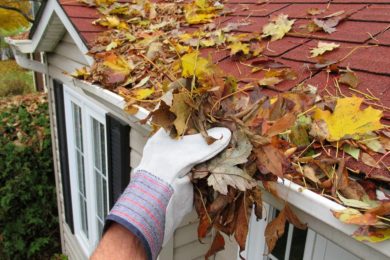 home-maintenance-fall