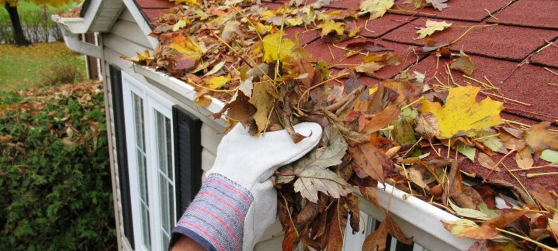 home-maintenance-fall