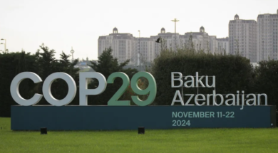 cop29