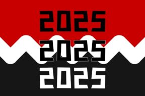 2025articles