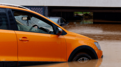 Στιγμιότυπο οθόνης 2025-01-16 090156