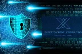 experto-cyber