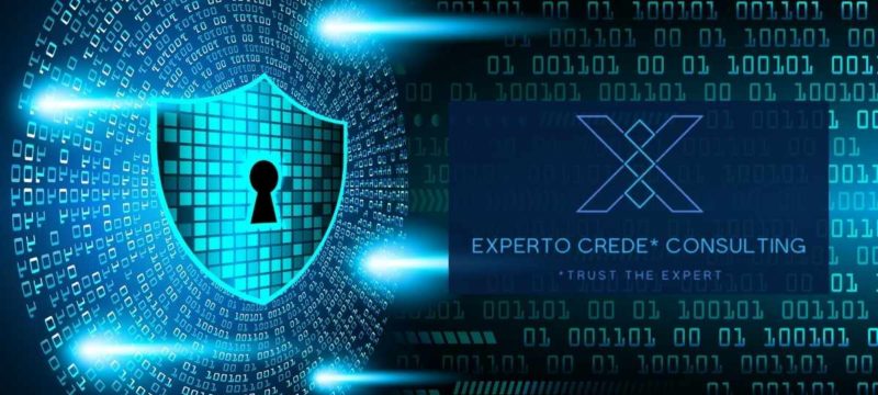 experto-cyber